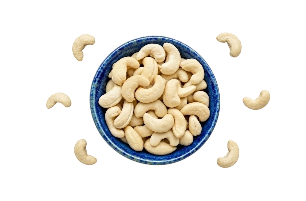 Premium Indian Cashew Kernels