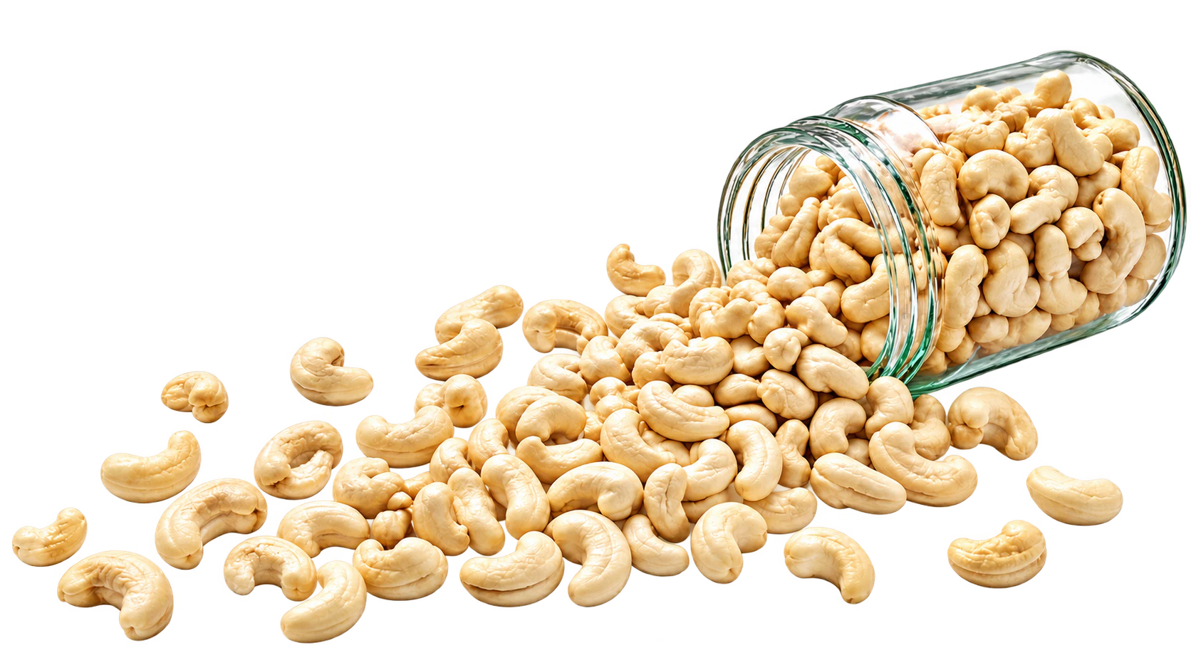 Premium Indian Cashews
