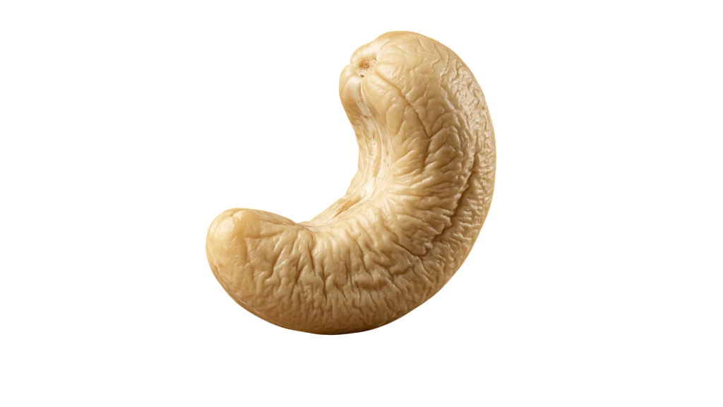 Indian Broken Cashew Kernels