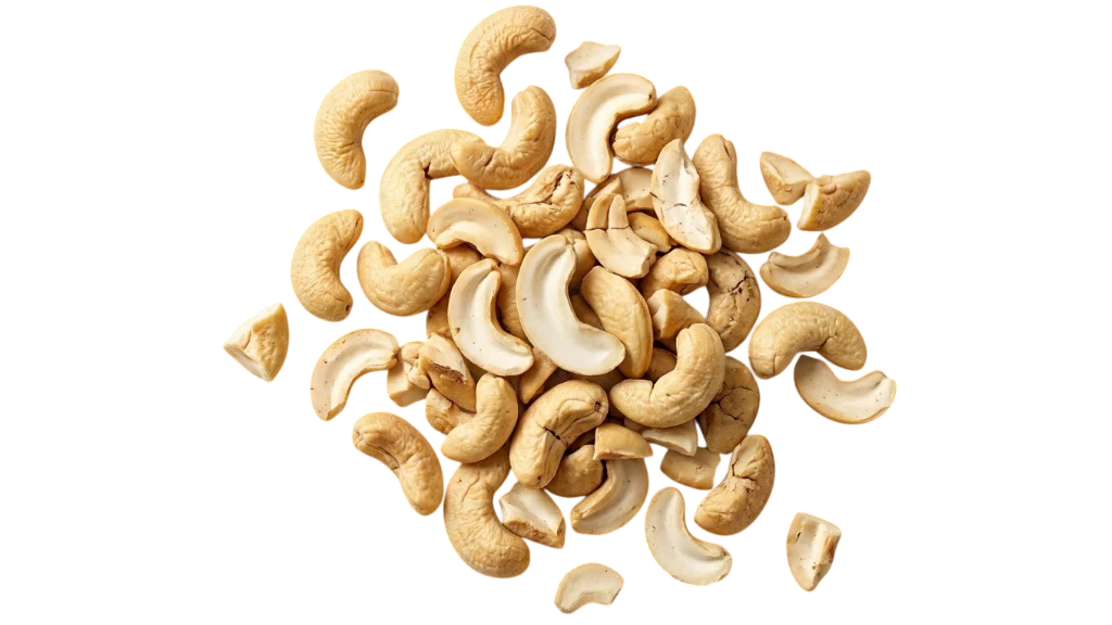 Broken Cashew Kernels