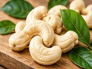 Premium Indian Cashews