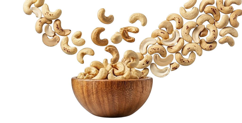 Premium Scorched Cashew Kernels