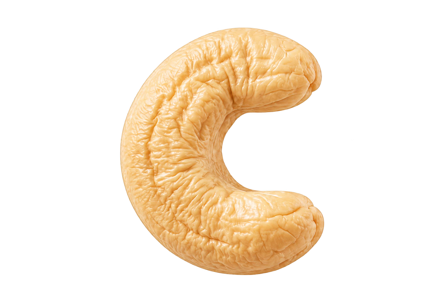Indian Split Cashew Kernels