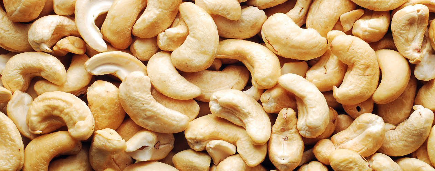 Cashew Kernels